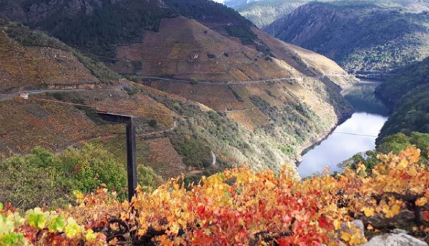 Ventajas de viajar con Turisa Galicia