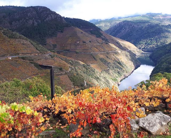 Ventajas de viajar con Turisa Galicia